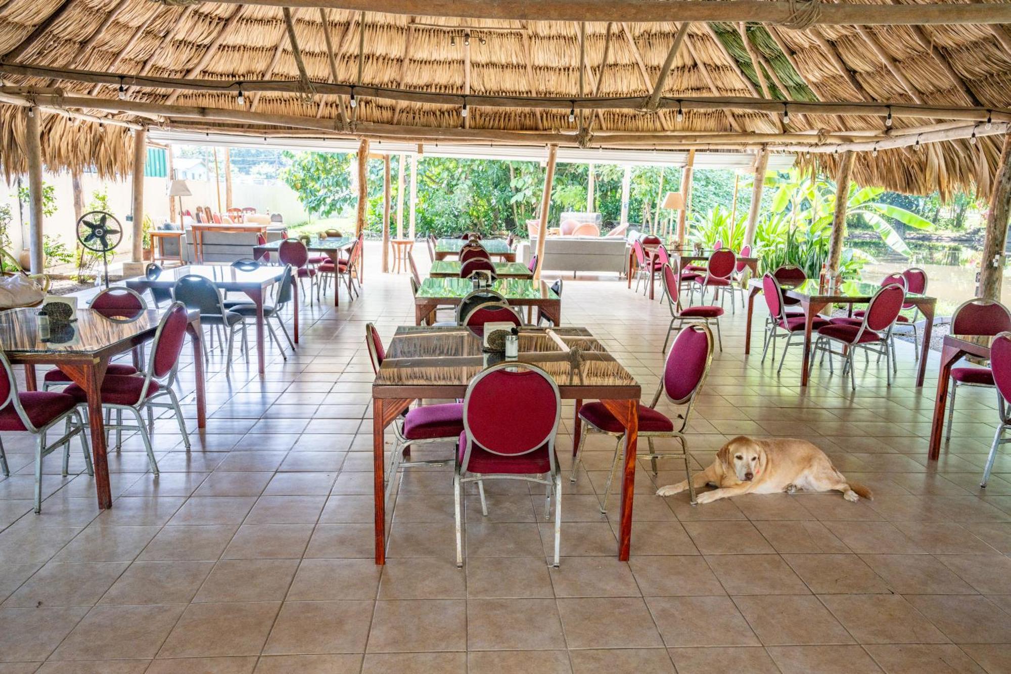 Drift Inn Cayo Santa Elena Eksteriør bilde
